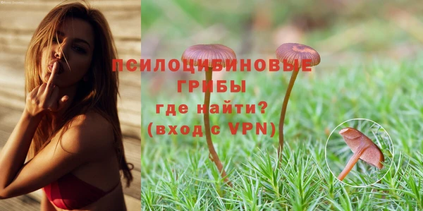 спайс Лагань