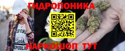 синтетический гашиш Кингисепп