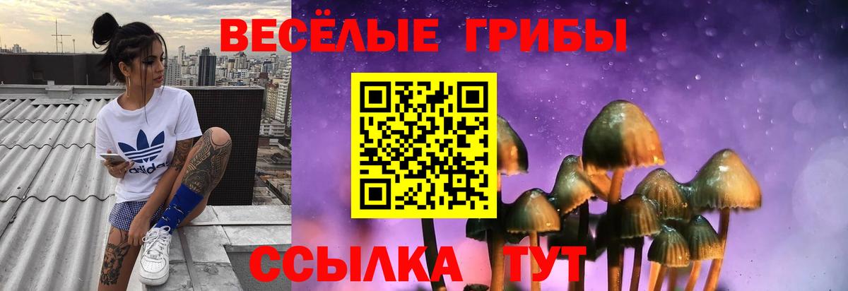 Мирный  купить наркоту  Вход с VPN  Галлюциногенные грибы Psilocybe 