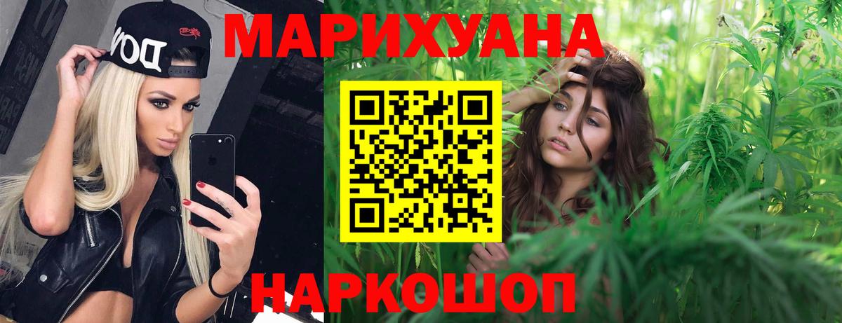 Канабис OG Kush  Марихуана планчик  Мирный  Конопля гибрид 