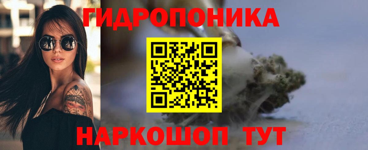 Канабис гибрид  Бошки Шишки план  Бошки марихуана план  Мирный  Вход с VPN 